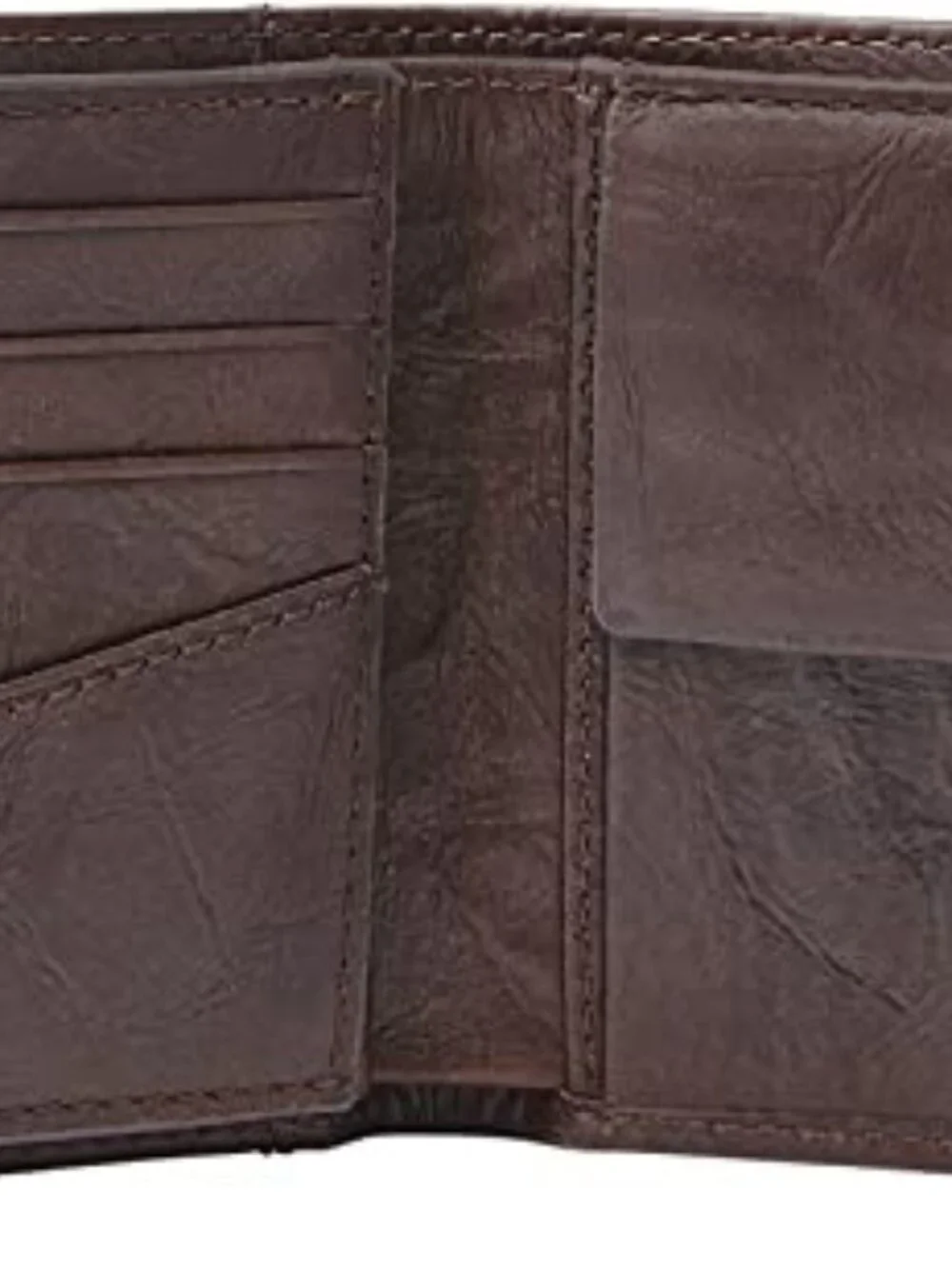 Fossil item description